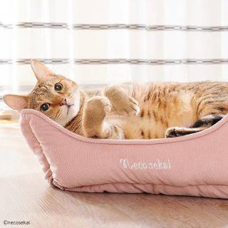 necosekai 灯芯绒秋冬季保暖四季通用猫窝猫床猫垫子宠物窝用品【报价