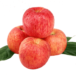 西域美农 红富士苹果  75-80mm（净重9斤）