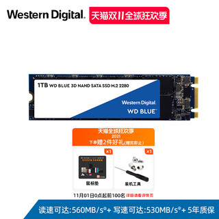 Western Digital 西部数据 WDS100T2B0B SSD固态硬盘M.2 1TB