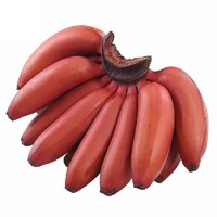 六尚 新鲜热带红皮香蕉 5斤