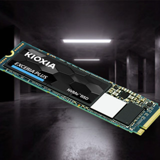 KIOXIA 铠侠 RD10 NVMe M.2 固态硬盘 1TB (PCI-E3.0*4)