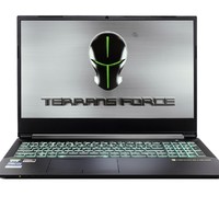 TERRANS FORCE 未来人类 15.6英寸游戏本（R9-3900、32GB、2TB、RTX3070）