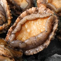 鲜多邦 青岛大个鲍鱼500g 约8-10个 鲜活海鲜水产个大体肥多汁 佛跳墙鲍鱼烧烤食材