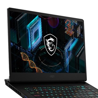 MSI 微星 冲锋坦克2 Pro GP66 11代酷睿版 15.6英寸 游戏本 黑色 (酷睿i7-11800H、RTX 3070 8G、32GB、1TB SSD、1080P、165Hz、11UG-260CN)