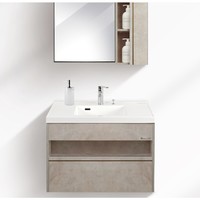 PLUS会员：Panasonic 松下 壁挂式荫华系列浴室柜带镜柜组合 900型卡拉季岩石色