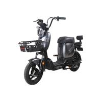 ZUB 五星钻豹 B3 电动自行车 TDT22Z 48V24Ah锂电池 珍珠灰/油光黑