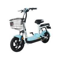 ZUB 五星钻豹 Zuboo A1 Plus 电动自行车 TDT56-1Z 48V13Ah黑金石墨烯电池 源彩浅蓝