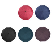 Telling world 习雨 10骨遮阳伞