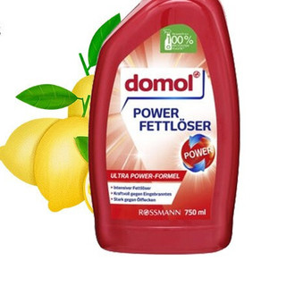 Domol 强力去油喷雾 750ml