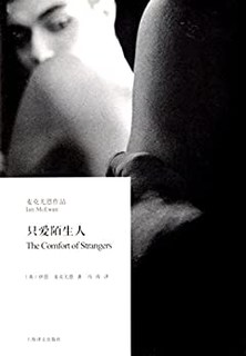 《只爱陌生人》（Kindle电子书）