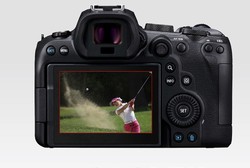 Canon 佳能 r6微单相机 全画幅微单vlog相机 机身4K拍摄数码相机 R6机身+小痰盂