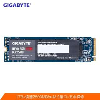 GIGABYTE 技嘉  1TB SSD固态硬盘猛盘 M.2接口 NVME系列