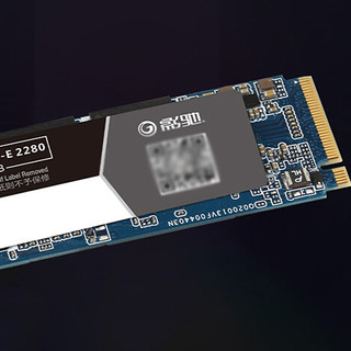 GALAXY 影驰 黑将 Pro NVMe M.2 固态硬盘 500GB (PCI-E3.0)