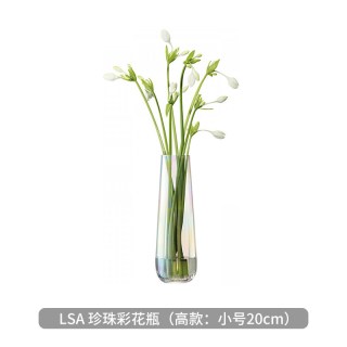 英国lsa Pearl 珍珠彩欧式现代简约家用玻璃透明花瓶摆件客厅插花英国lsa 珍珠彩花瓶 高宽 小号cm 报价价格评测怎么样 什么值得买