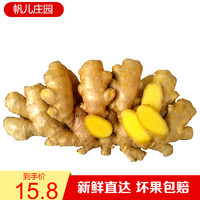 帆儿庄园 小黄姜新鲜山区生姜嫩姜老姜母生鲜新鲜蔬菜 2.5kg