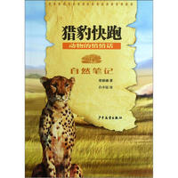 《自然笔记·动物的悄悄话：猎豹快跑》