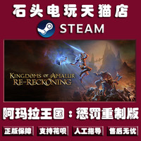 PC中文正版Steam游戏 阿玛拉王国:惩罚重制版 Kingdoms of Amalur: Re-Reckoning 复刻版|命运版