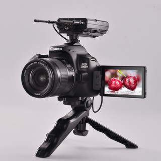 佳能200d二代照相机蚂蚁摄影数码高清旅游200D2ii入门级单反相机