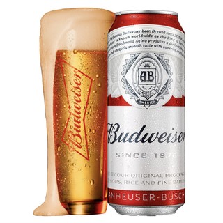 Budweiser 百威 经典醇正啤酒 450ml*20听