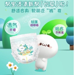 Pampers 帮宝适 清新帮 拉拉裤 XL34片