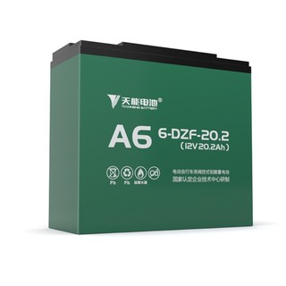 A6 电动车铅酸电池 48V20Ah