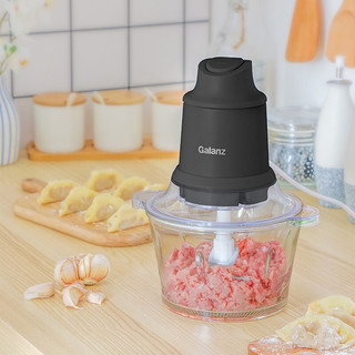 galanz 格兰仕 wjr2005 绞肉机