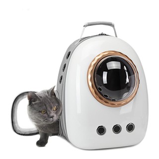 SPACE CAT 太空喵 宠物便携包 升级款 标准四件套 灰白