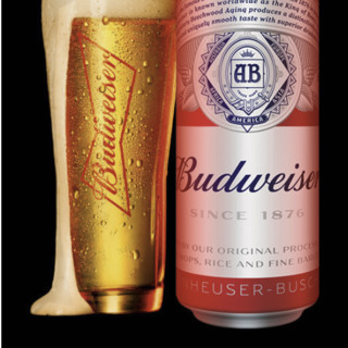 Budweiser 百威 经典醇正啤酒 450ml*20听