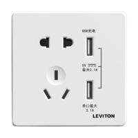 LEVITON 立维腾 拉斯维加斯系列 USB五孔插座 雅白
