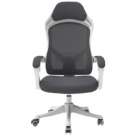 LIANFENG 联丰 W-125TV 人体工学电脑椅+海绵坐垫 白色 普通款