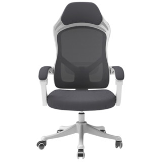 LIANFENG 联丰 W-125TV 人体工学电脑椅 海绵坐垫 白色 普通款