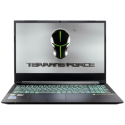 TERRANS FORCE 未来人类 15.6英寸游戏本（R9-3900、32GB、2TB、RTX3070）