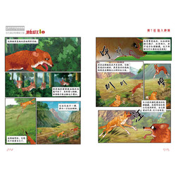 《中国卡通漫画书·儿童文学名家典藏漫画：沈石溪动物漫画王国1 混血豺王》（漫画版）