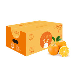 十八臻橙 赣南脐橙 3kg（单果180g~230g）铂金果 礼盒装