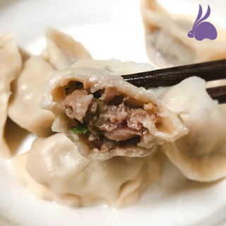 科迪 农家饺子水饺猪肉大葱白菜素三鲜牛肉速冻速食早餐蒸饺生煎 猪肉大葱4袋