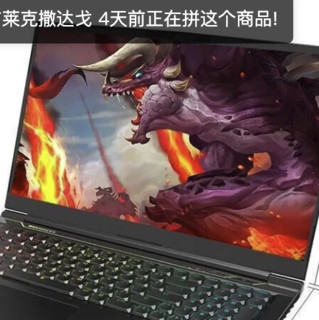 MECHREVO 机械革命 X10Ti-S 十一代酷睿版 17.3英寸 游戏本 黑色 (酷睿i7-11800H、RTX3070、8GB、512GB SSD、165Hz)