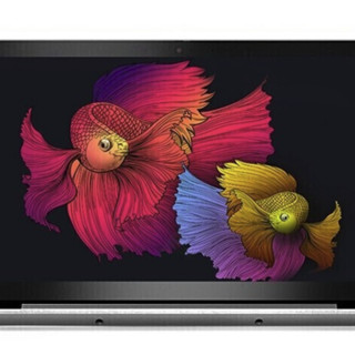 Lenovo 联想 Ideapad 14s 2021款 锐龙版 R5 5000系列 14.0英寸 轻薄本 银灰 (锐龙R5-5500U、核芯显卡、12GB、256GB SSD、1080P、IPS)