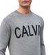 Calvin Klein J30J313161039 男士圆领套头毛衣针织衫