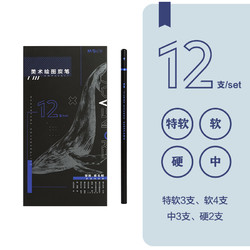 M&G 晨光 文具4款混装素描铅笔 特软/软/中/硬炭笔 奇妙动物在这里系列美术绘图炭笔 12支/盒AWP35911