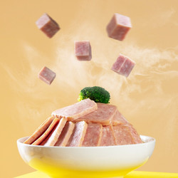 WONG'S 王家渡 低温午餐肉肠 猪肉原味 320g