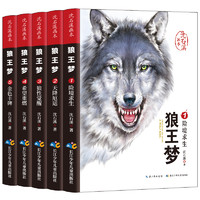 《沈石溪画本·狼王梦》（套装共5册）