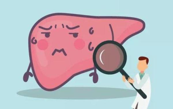 当熬夜开始上瘾,喝酒成为刚需,打工人都开始用它来照顾自己的肝脏了