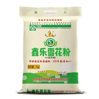 XIN LE TOYS 鑫乐 雪花粉 1kg