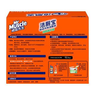 Mr Muscle 威猛先生 洁厕块 清新青柠檬 38g*10块