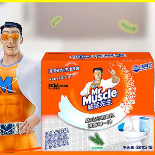 Mr Muscle 威猛先生 双效自动冲洗洁厕块 38g*10块 百草青香