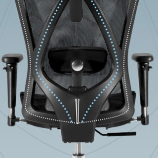 SIHOO 西昊 M57 人体工学电脑椅 黑色 标配款