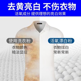 德国进口domol增白粉彩漂白粉750g白色衣服物去油污渍去黄漂白剂生态氧清洁泡泡刷鞋洗衣皂粉爆炸盐 增白粉*2个装