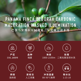 泰摩白金系列巴拿马黛博拉庄园瑰夏二氧化碳浸渍水洗咖啡豆100g