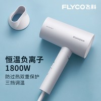 飞科（FLYCO）吹风机便携家用电吹风负离子家用宿舍学生大功率冷热风理发店吹风筒FH6276 象牙白