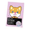 Intous 燃燃小控热 坚实压片糖果 96g